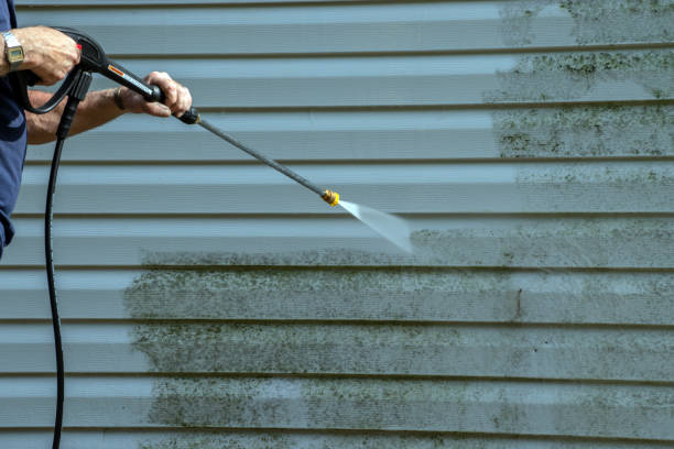 Best House Pressure Washing  in Gillett, WI